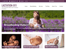 Tablet Screenshot of lactation-911.com
